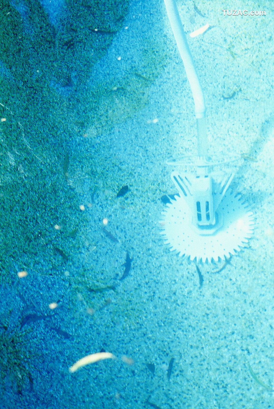 NS Eyes_ SF-No.225 Noriko Sagara 相楽のり子 写真集[100P]