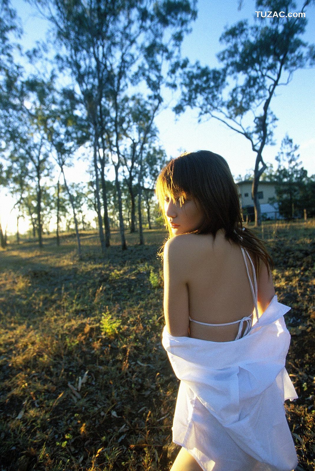 NS Eyes_ SF-No.233 P-Girl Yoko Kumada 熊田曜子 写真集[100P]