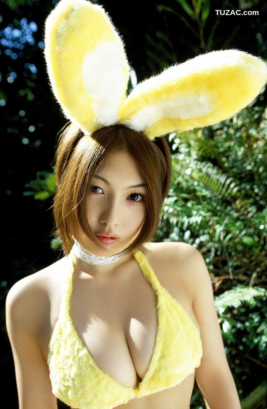 NS Eyes_ SF-No.233 P-Girl Yoko Kumada 熊田曜子 写真集[100P]
