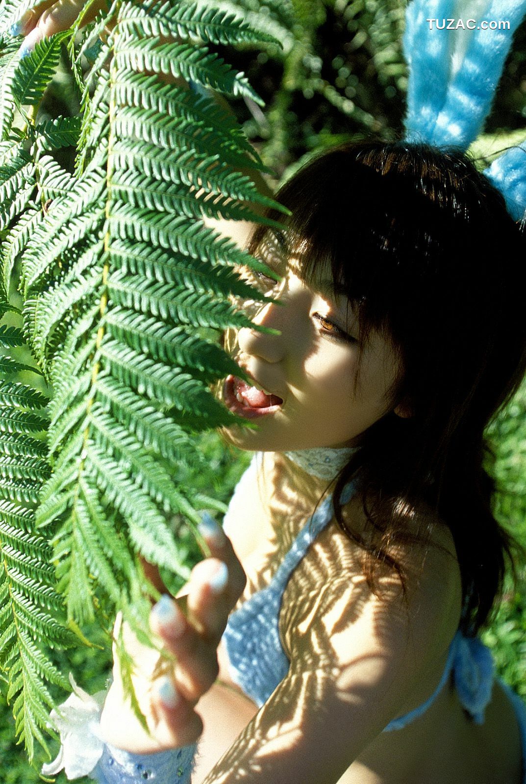 NS Eyes_ SF-No.233 P-Girl Yoko Kumada 熊田曜子 写真集[100P]