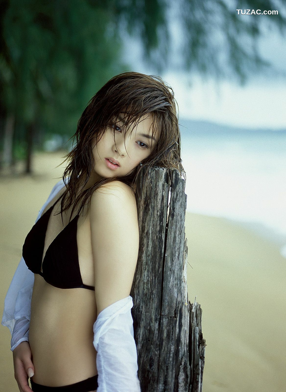 NS Eyes_ SF-No.235 Sayaka Fukuoka 福岡サヤカ/福冈沙耶歌 写真集[64P]