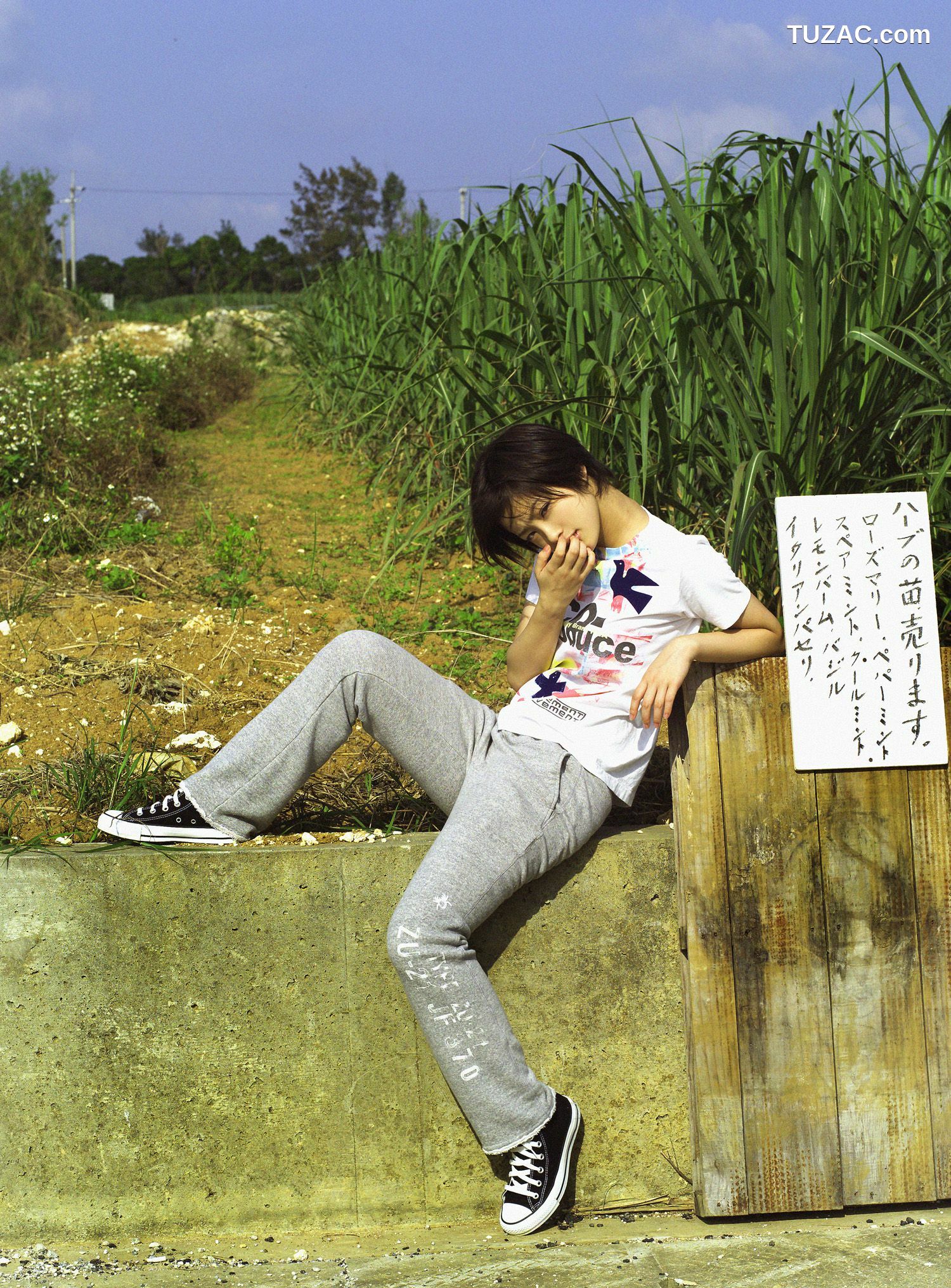 NS Eyes_ SF-No.241 Aya Ueto 上户彩/上戸彩 写真集[64P]