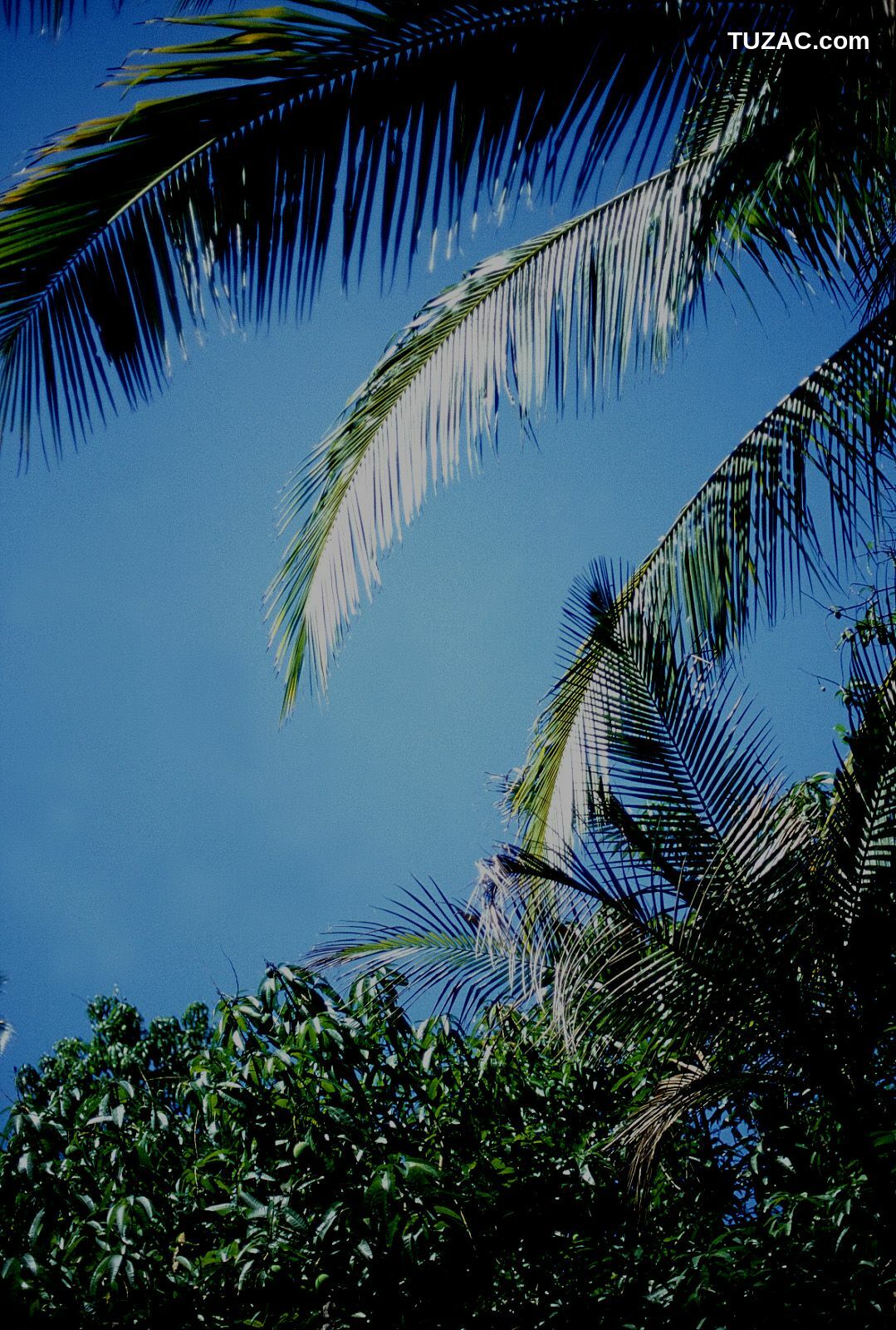 NS Eyes_ SF-No.254 Minami Kawahara 川原みなみ 写真集[113P]