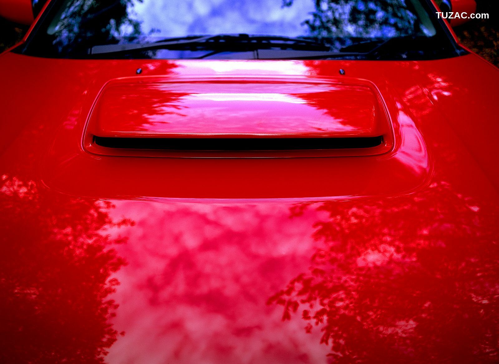 NS Eyes_ SF-No.258 Chinatsu Wakatsuki 若槻千夏 写真集[36P]