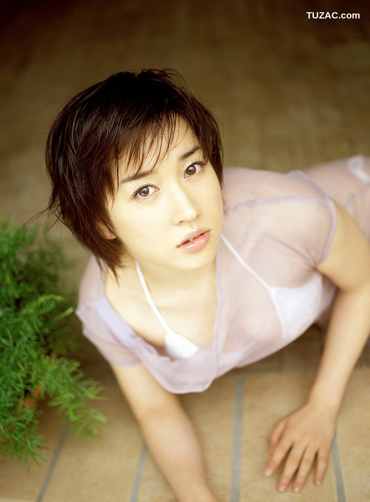 NS Eyes_ SF-No.264 Sayaka Kuon 久遠さやか 写真集[64P]