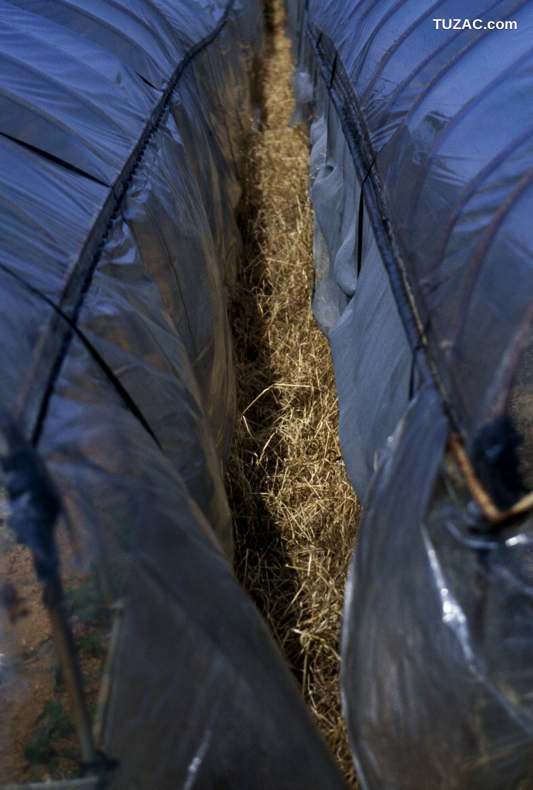 NS Eyes_ SF-No.285 Yu Ninomiya 二宮優 写真集[60P]