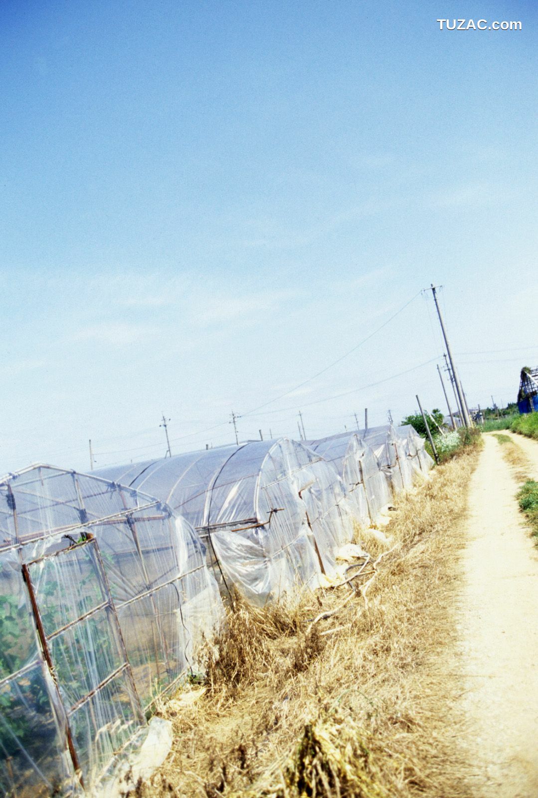 NS Eyes_ SF-No.285 Yu Ninomiya 二宮優 写真集[60P]