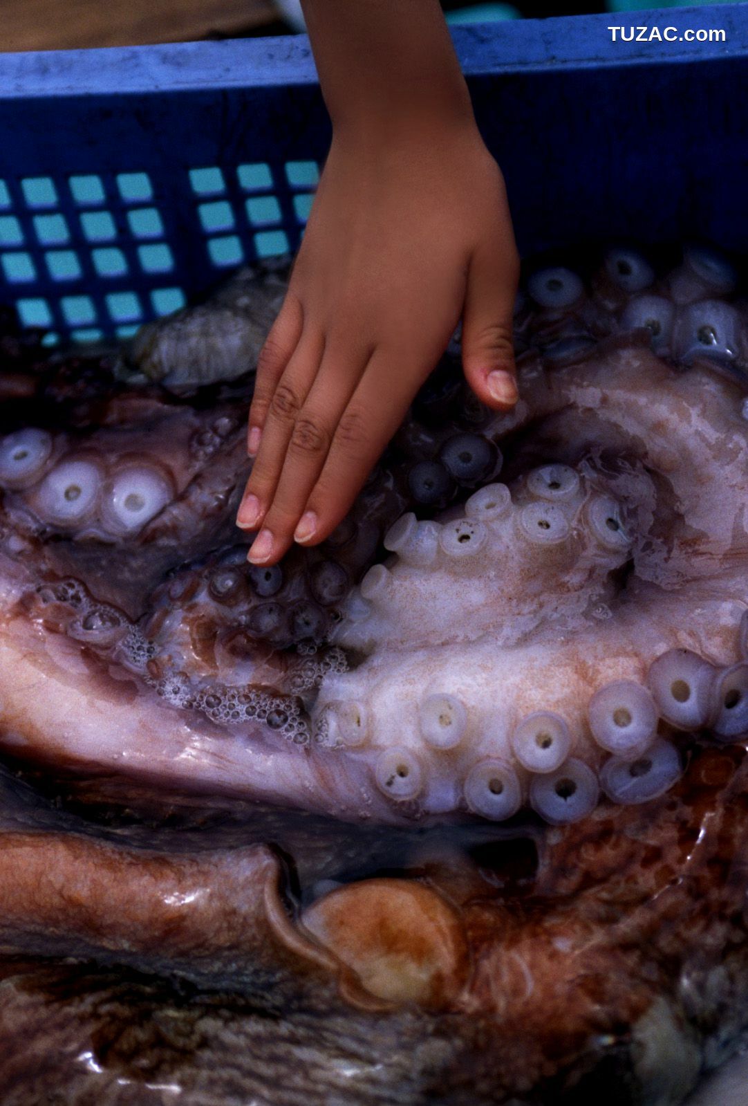 NS Eyes_ SF-No.287 堀北真希 Maki Horikita - UNDERAGE! 写真集[119P]