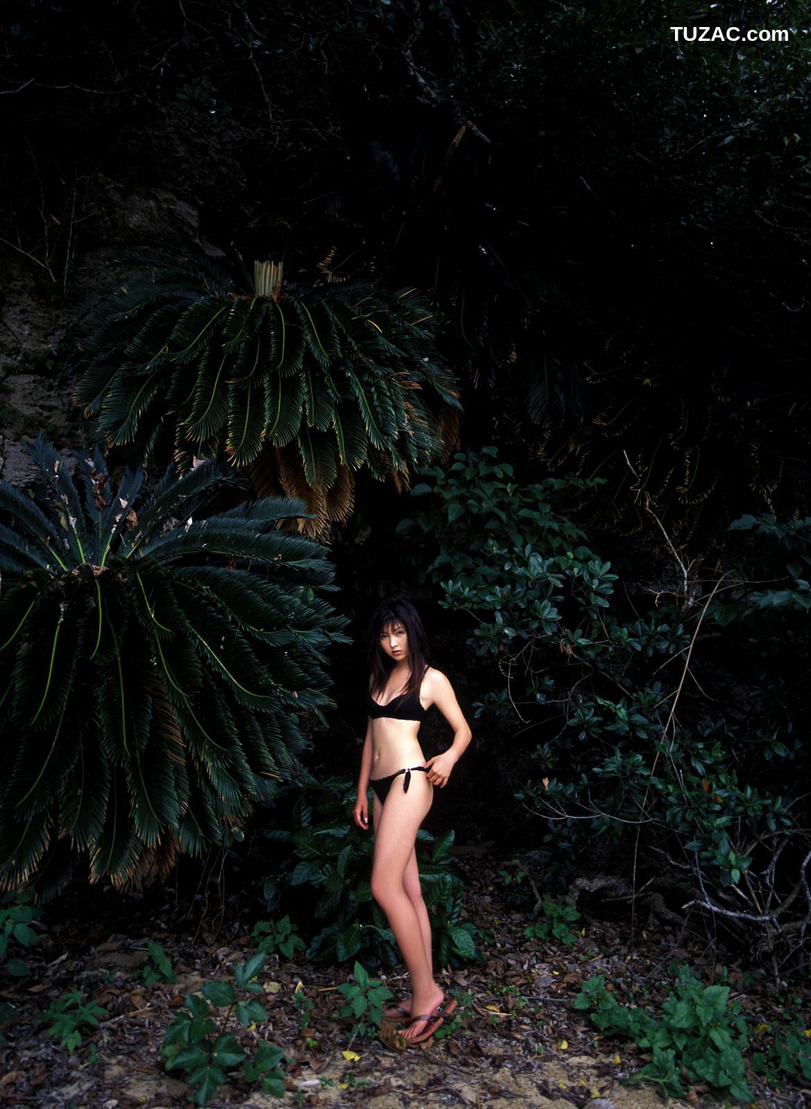 NS Eyes_ SF-No.305 Chikako Sakuragi 樱木睦子 -UNDERAGE! 写真集[61P]