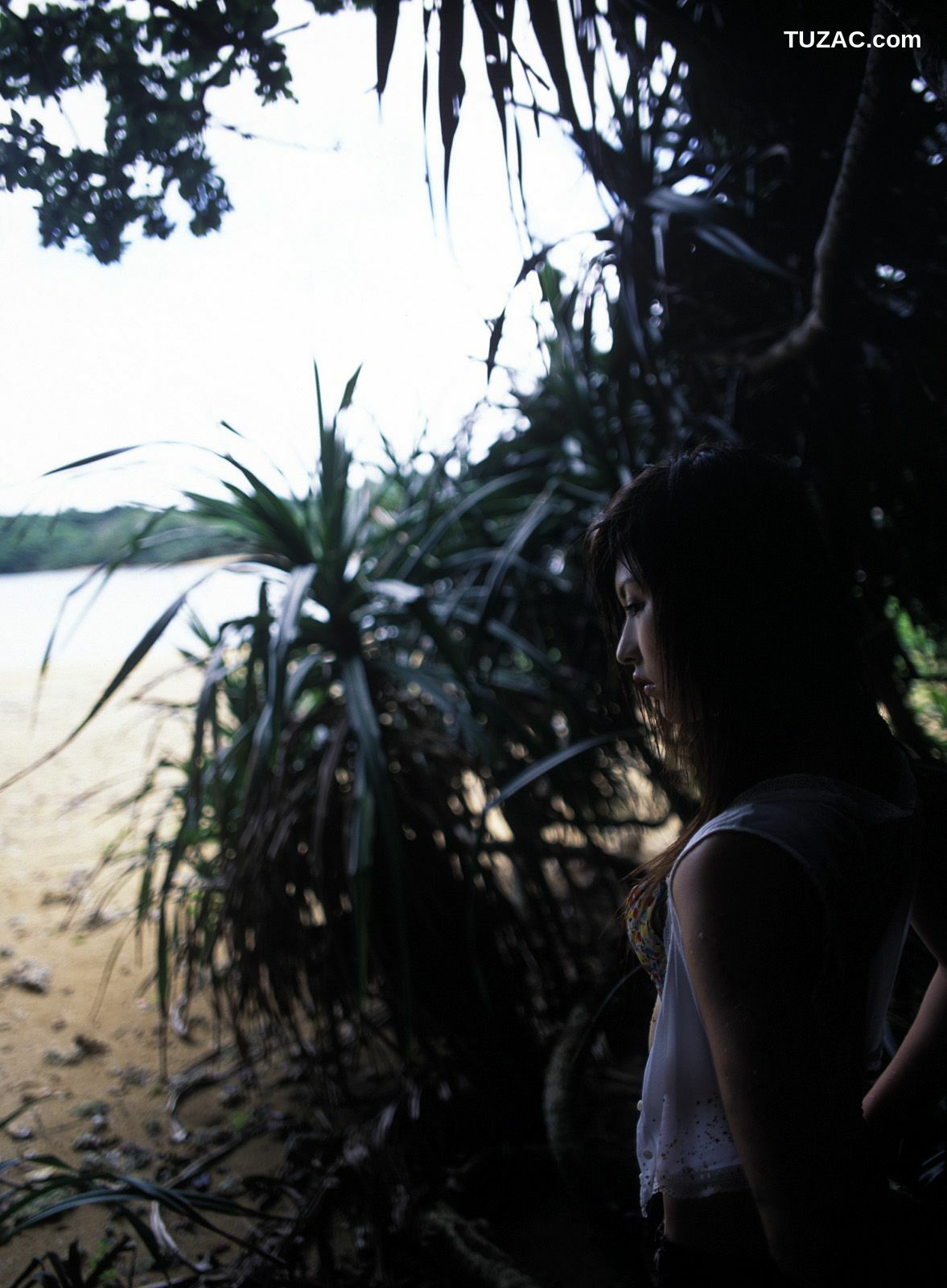 NS Eyes_ SF-No.305 Chikako Sakuragi 樱木睦子 -UNDERAGE! 写真集[61P]