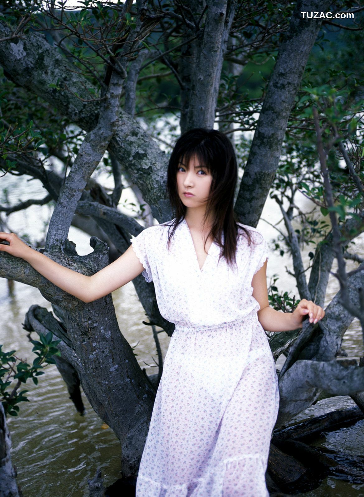 NS Eyes_ SF-No.305 Chikako Sakuragi 樱木睦子 -UNDERAGE! 写真集[61P]