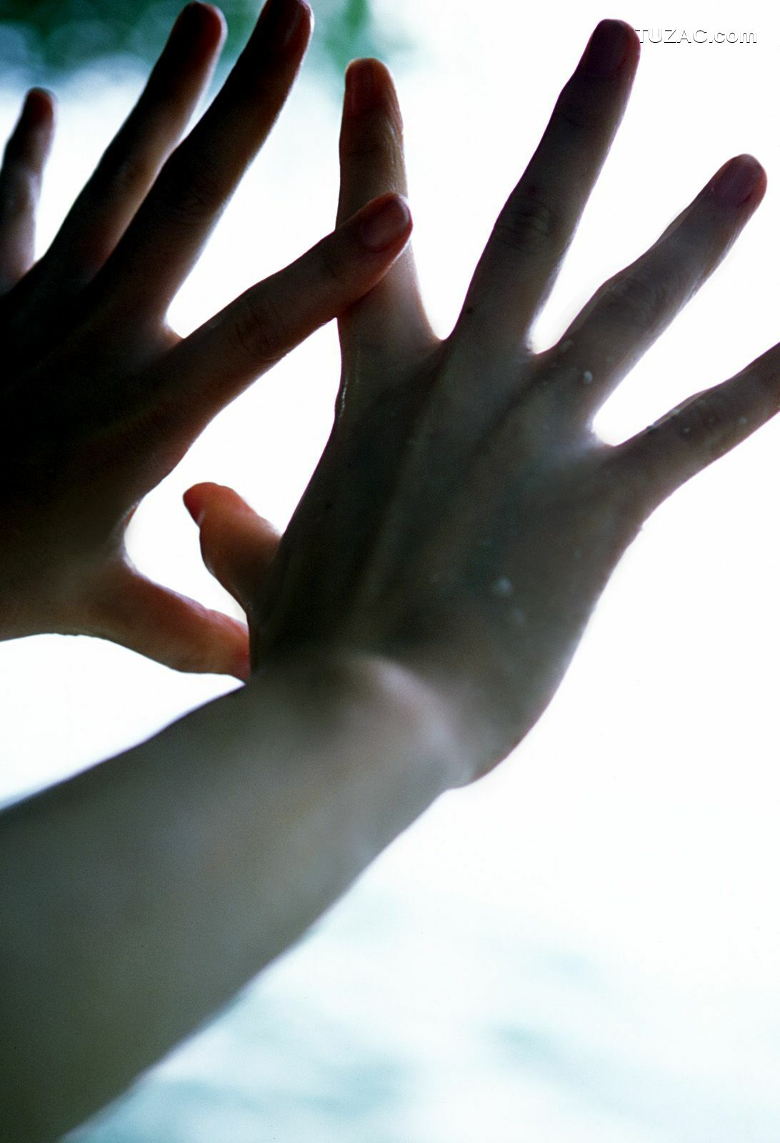 NS Eyes_ SF-No.312 Akari Hoshino 星野あかり 写真集[64P]