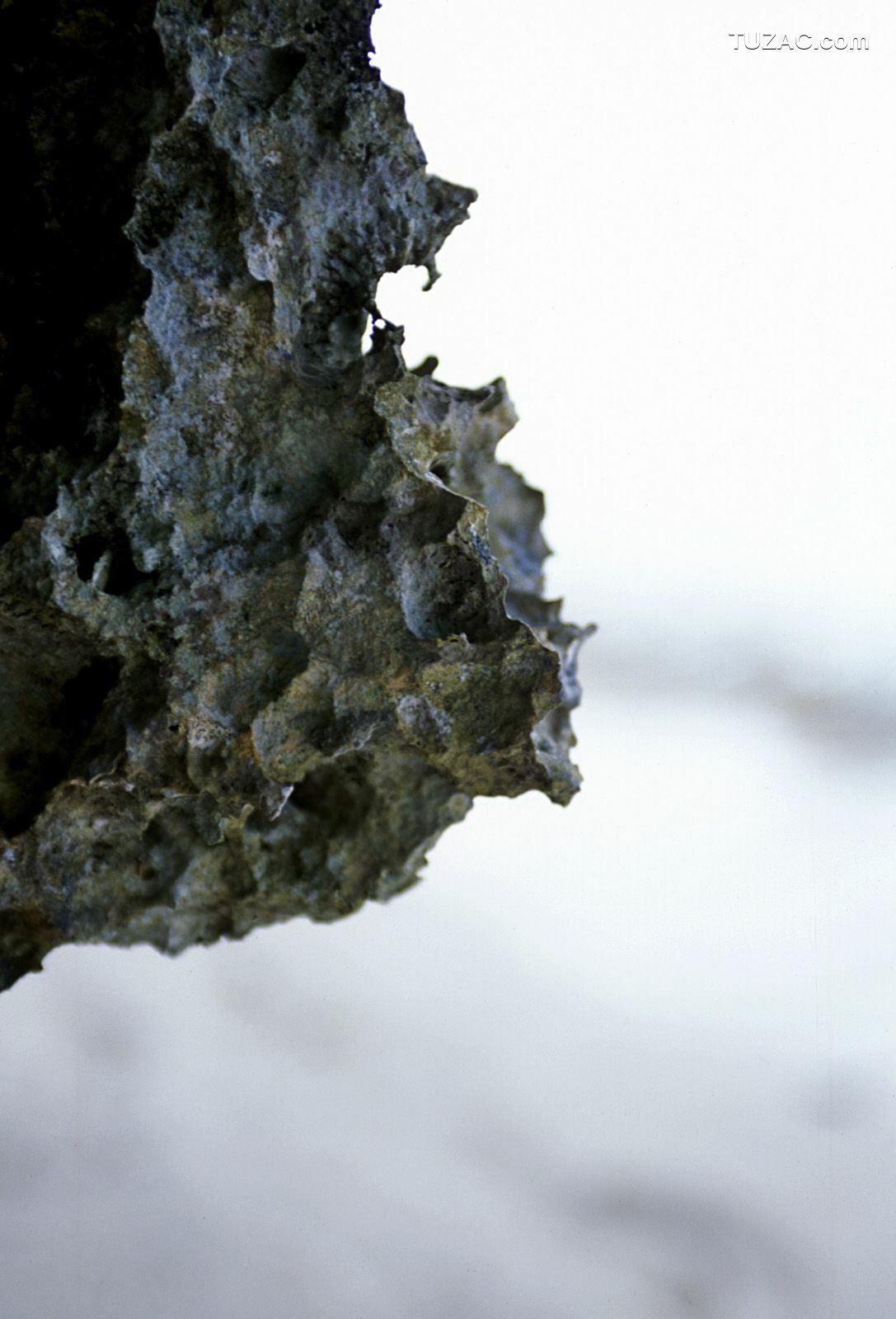 NS Eyes_ SF-No.312 Akari Hoshino 星野あかり 写真集[64P]