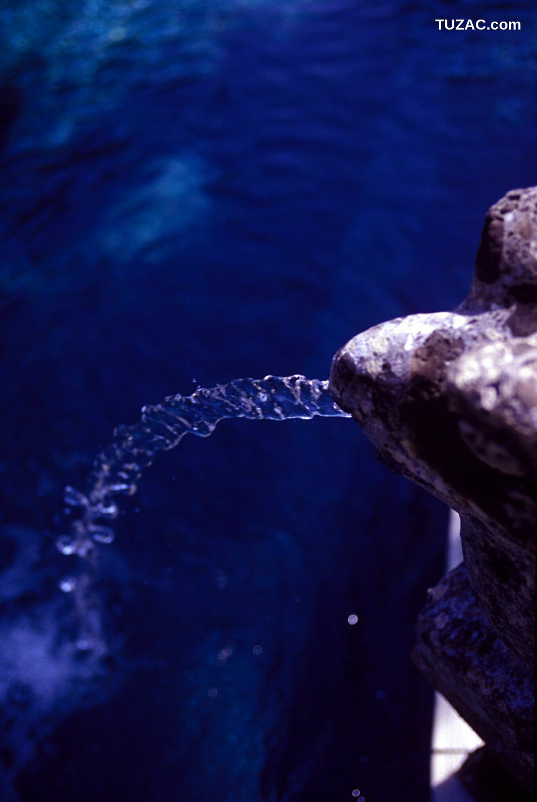 NS Eyes_ SF-No.321 Mika Ito 伊東美華 写真集[55P]