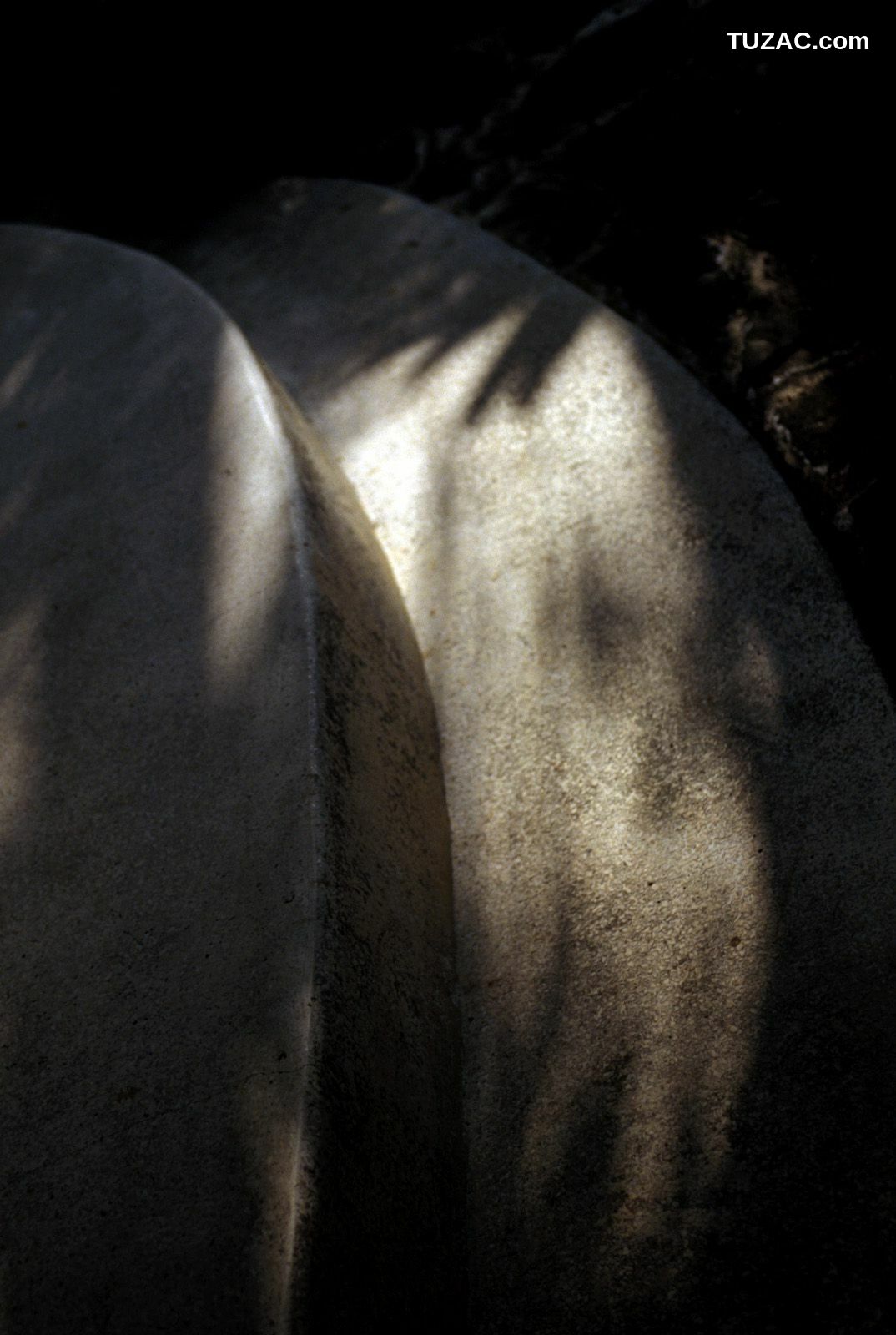 NS Eyes_ SF-No.321 Mika Ito 伊東美華 写真集[55P]