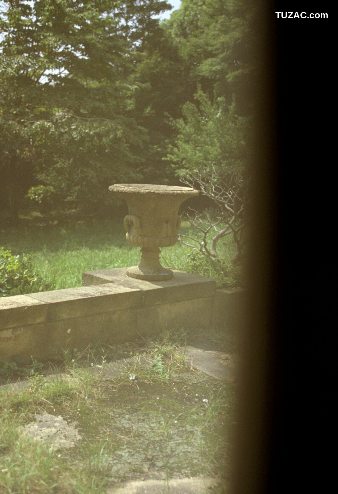 NS Eyes_ SF-No.322 Night Sight 写真集[101P]