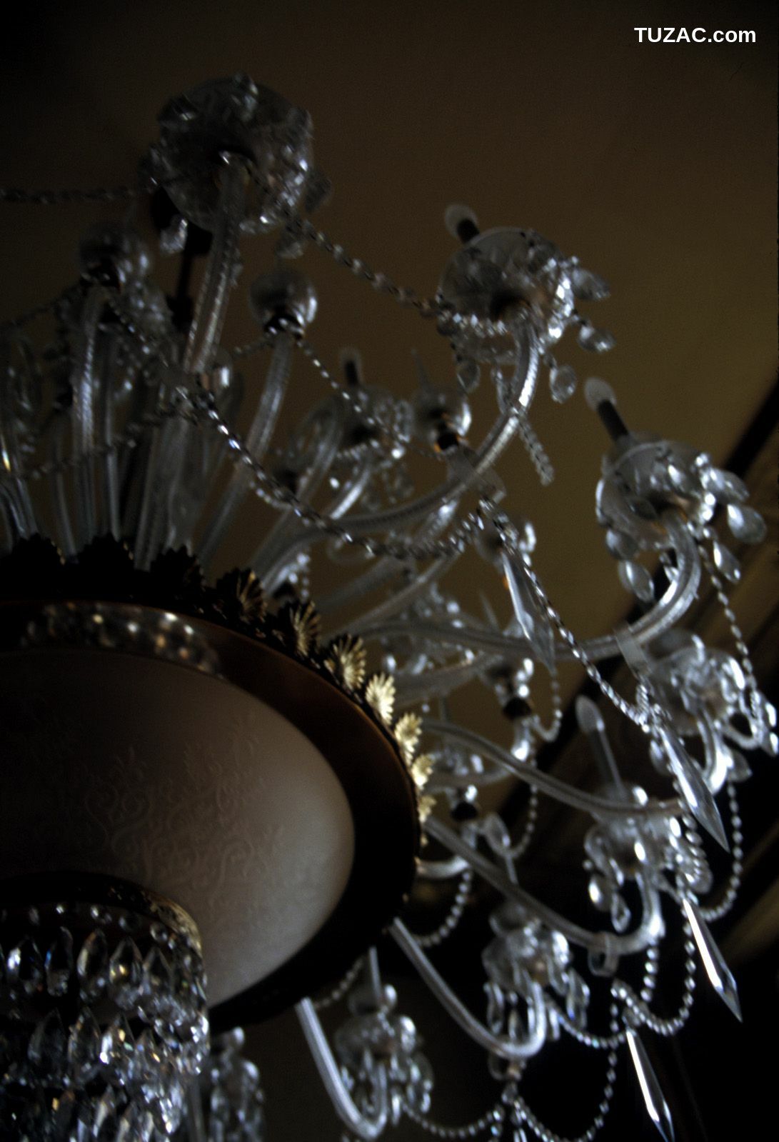 NS Eyes_ SF-No.322 Night Sight 写真集[101P]