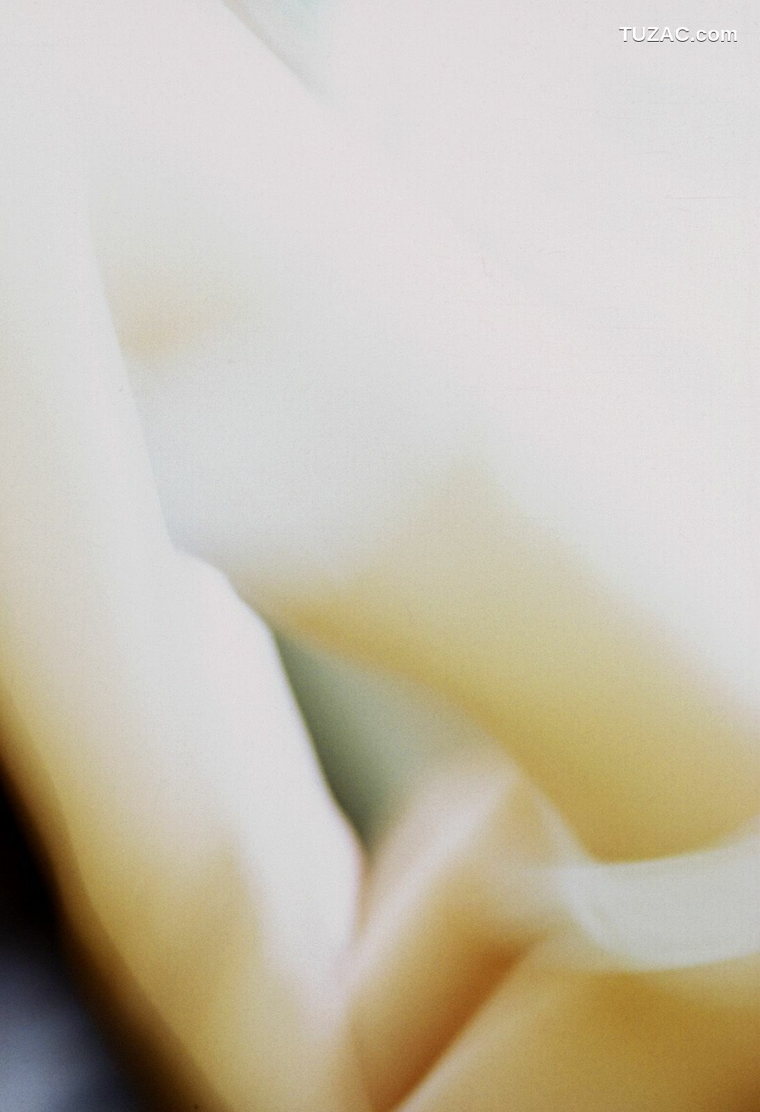 NS Eyes_ SF-No.327 Saki 沙季 写真集[52P]