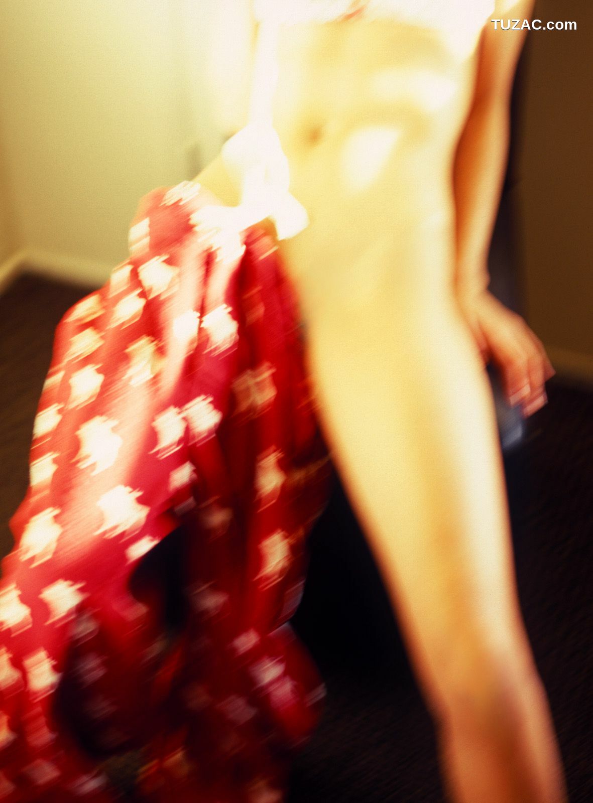 NS Eyes_ SF-No.331 Toshimi Horiguchi 堀口としみ/堀口俊美 写真集[106P]