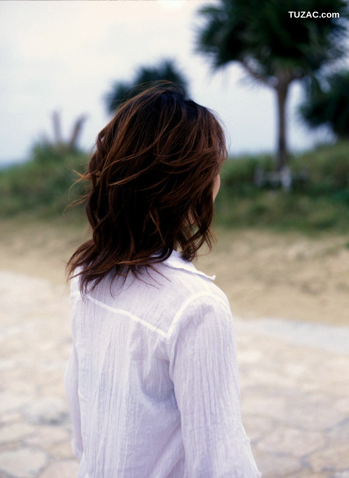 NS Eyes_ SF-No.333 Mayuko Iwasa 岩佐真悠子 写真集[90P]