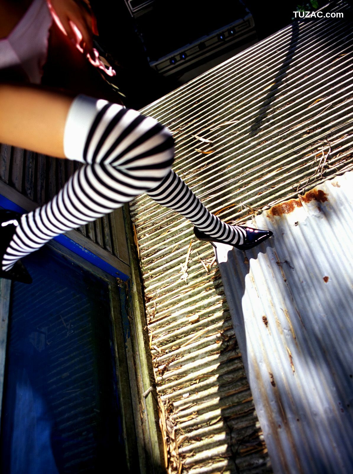 NS Eyes_ SF-No.338 Toshimi Horiguchi 堀口俊美/堀口としみ 写真集[101P]