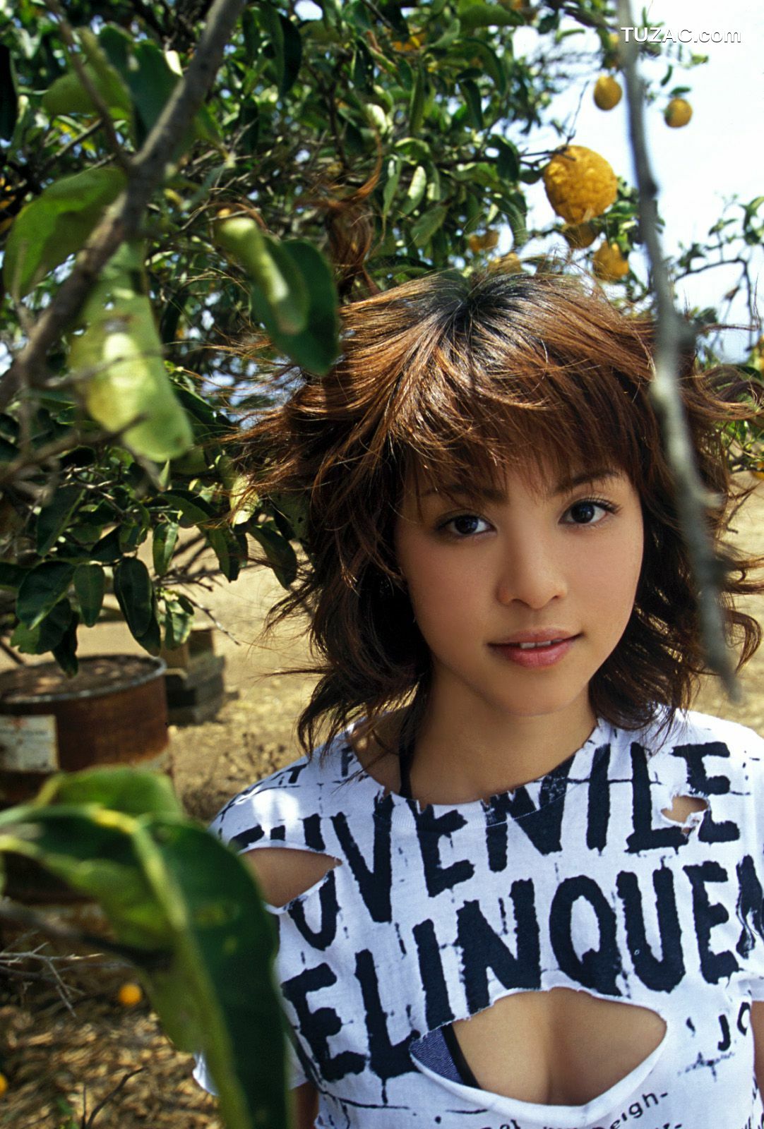 NS Eyes_ SF-No.339 Mayuko Iwasa 岩佐真悠子 写真集[83P]