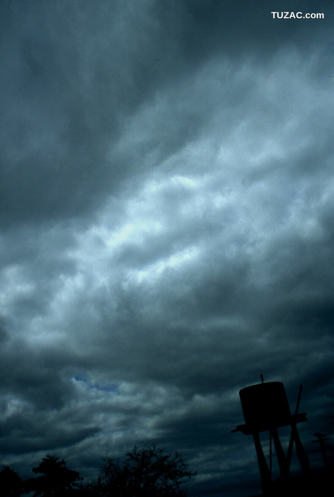 NS Eyes_ SF-No.339 Mayuko Iwasa 岩佐真悠子 写真集[83P]