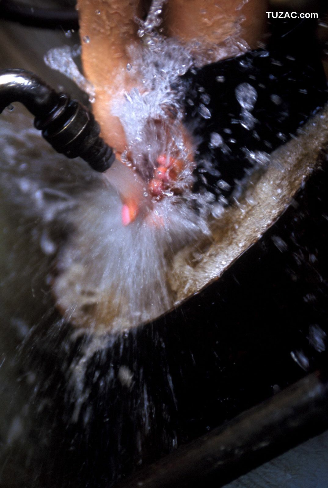 NS Eyes_ SF-No.343 Toshimi Horiguchi 堀口俊美 写真集[75P]