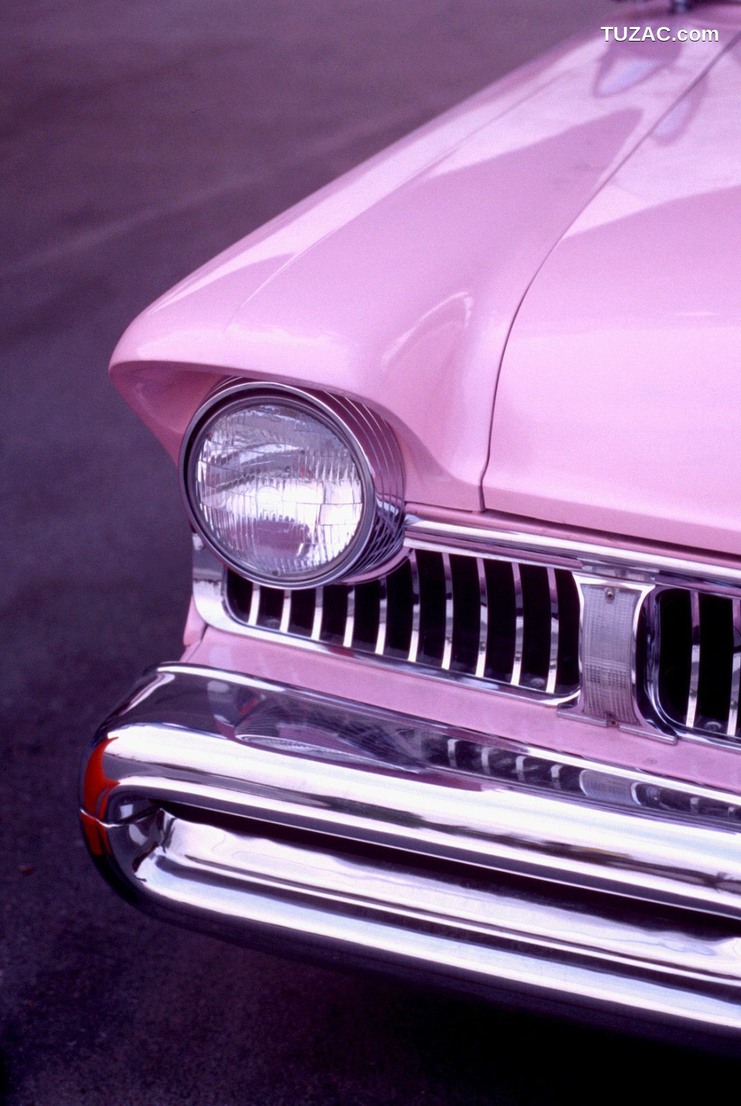 NS Eyes_ SF-No.345 星野亚纪/ほしのあき Aki Hoshino 写真集[99P]