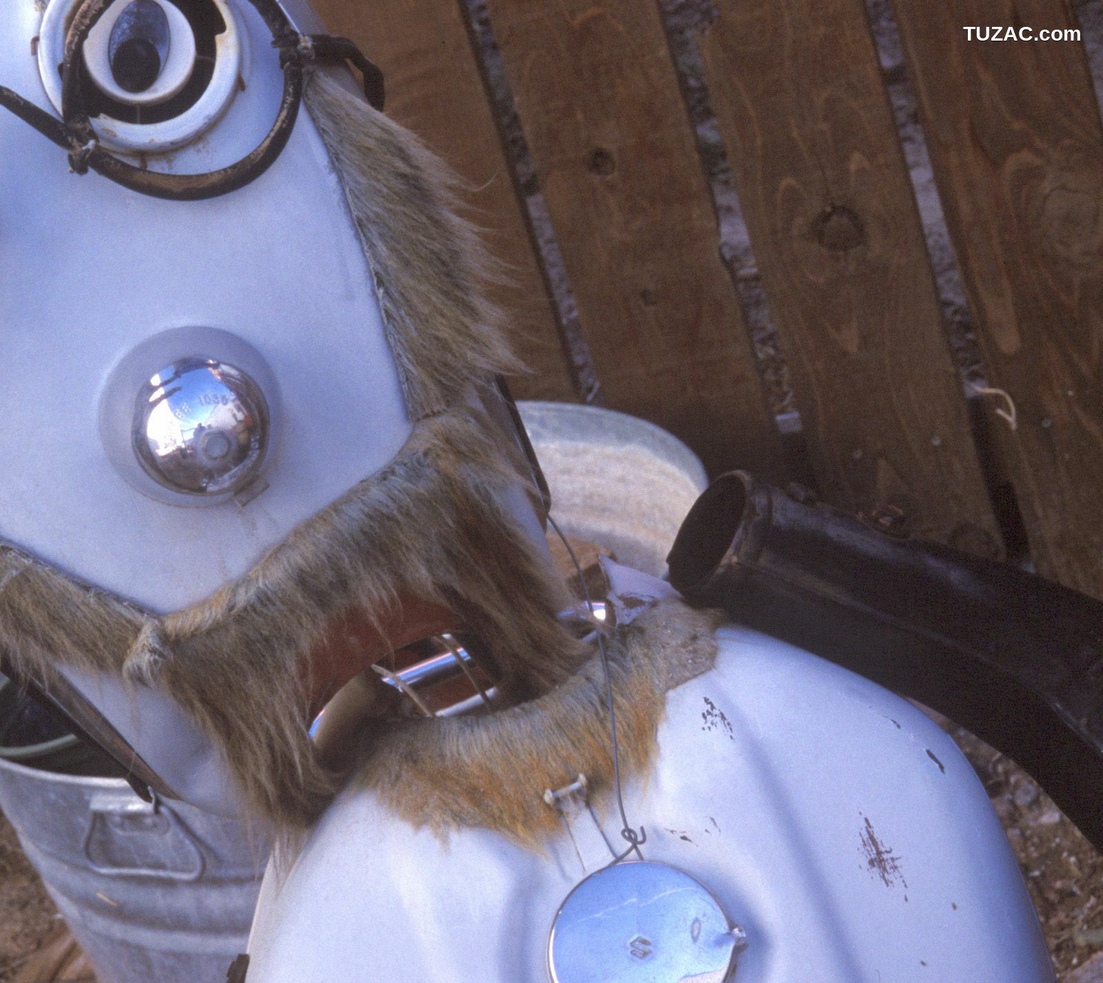 NS Eyes_ SF-No.345 星野亚纪/ほしのあき Aki Hoshino 写真集[99P]