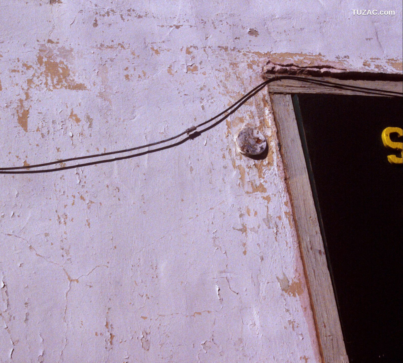 NS Eyes_ SF-No.345 星野亚纪/ほしのあき Aki Hoshino 写真集[99P]