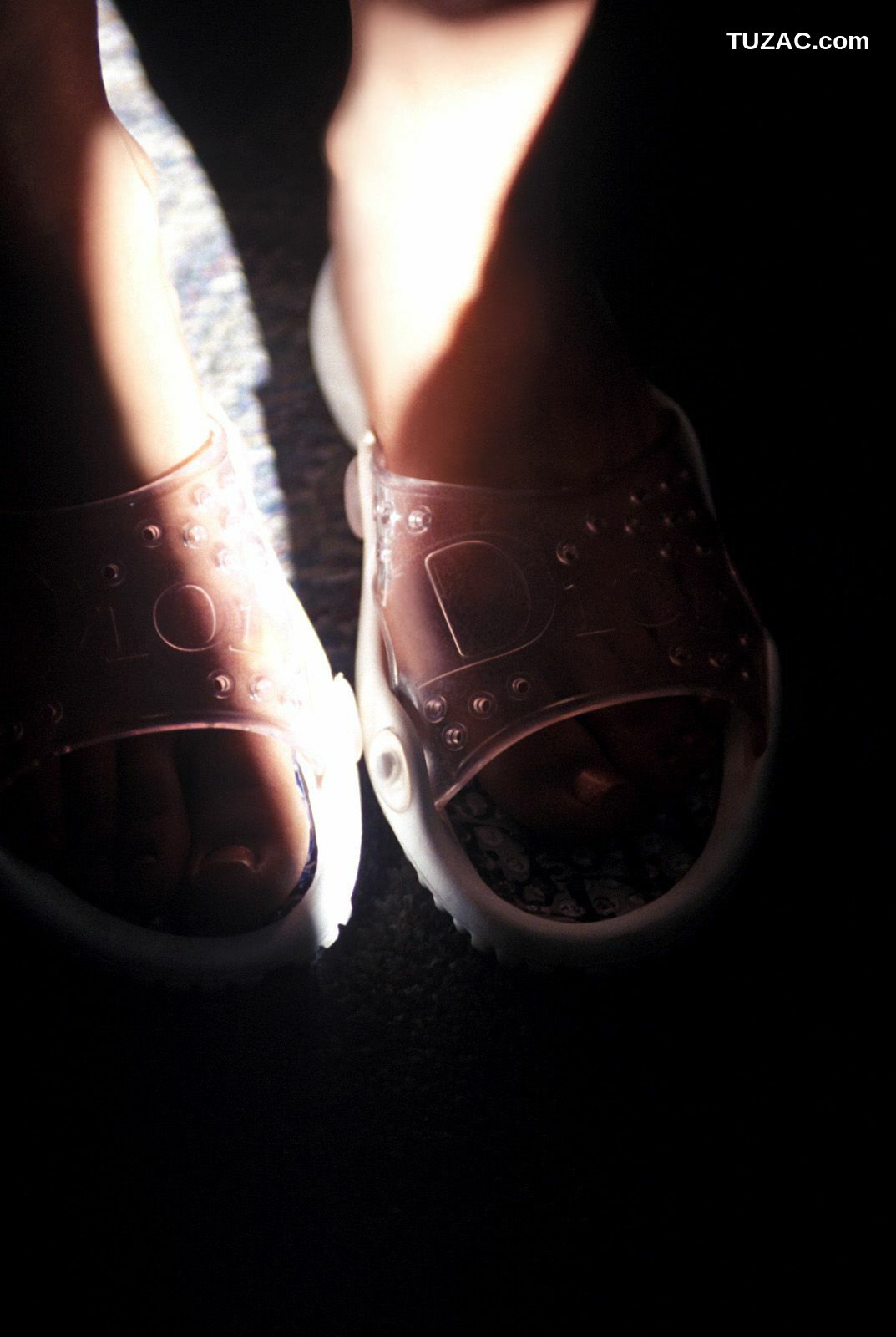 NS Eyes_ SF-No.345 星野亚纪/ほしのあき Aki Hoshino 写真集[99P]