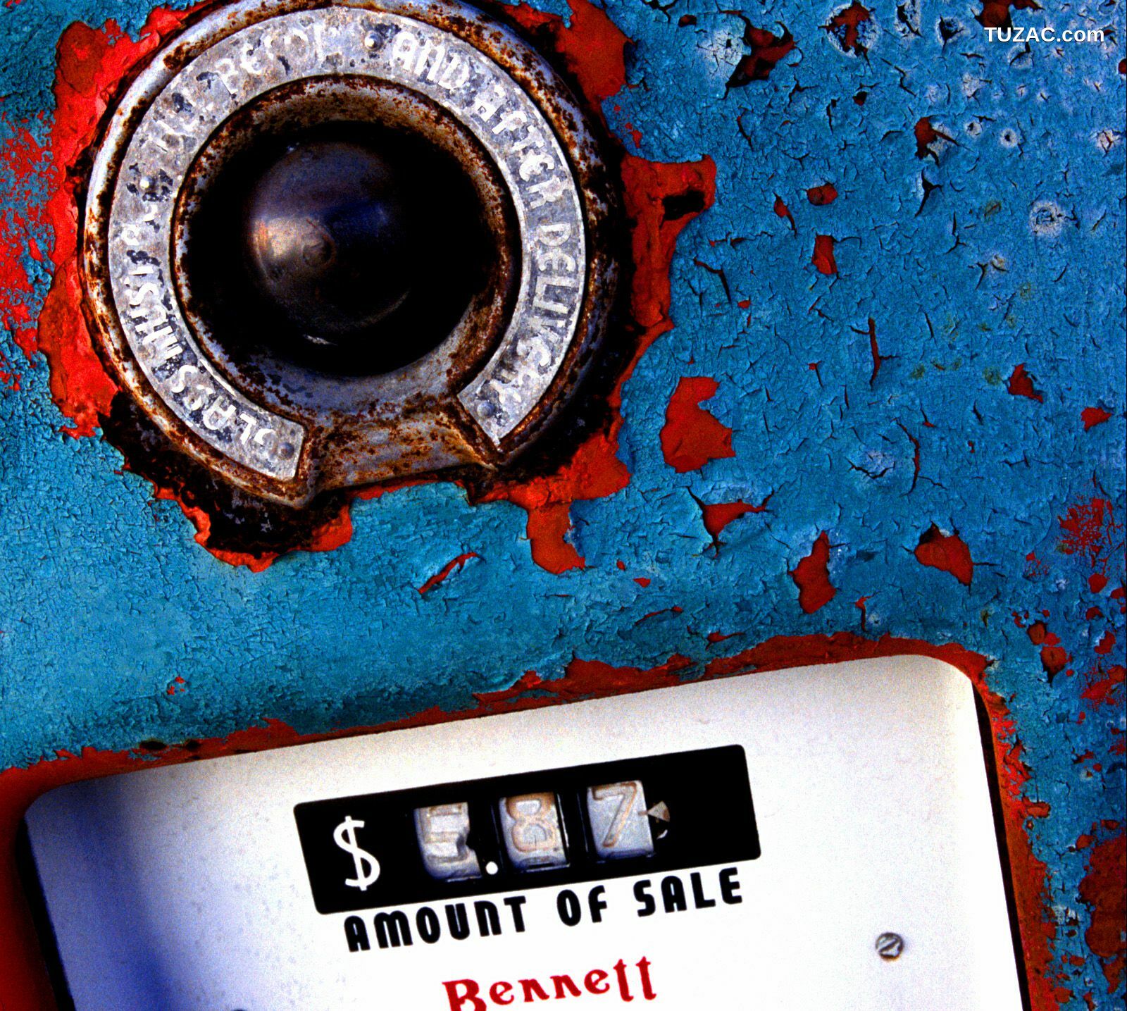 NS Eyes_ SF-No.346 Aki Hoshino 星野亜希/ほしのあき 写真集[96P]