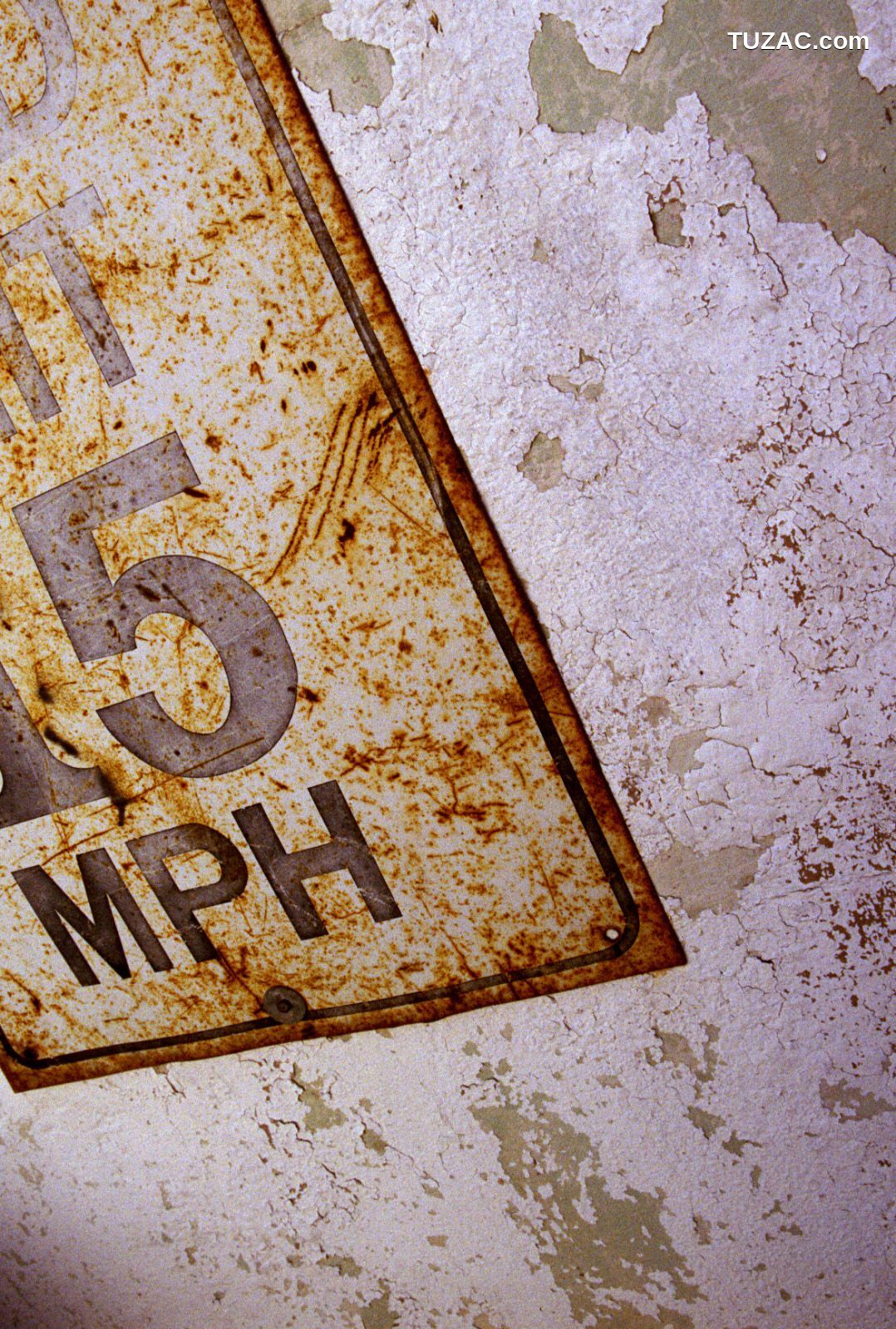 NS Eyes_ SF-No.346 Aki Hoshino 星野亜希/ほしのあき 写真集[96P]