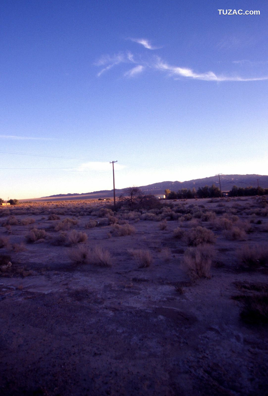 NS Eyes_ SF-No.346 Aki Hoshino 星野亜希/ほしのあき 写真集[96P]