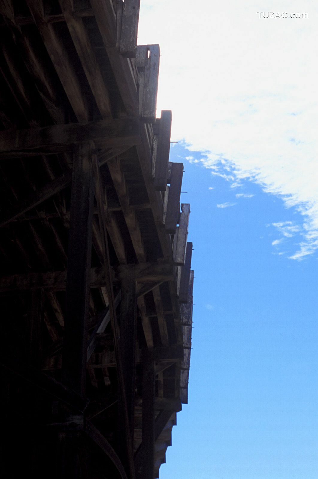 NS Eyes_ SF-No.346 Aki Hoshino 星野亜希/ほしのあき 写真集[96P]