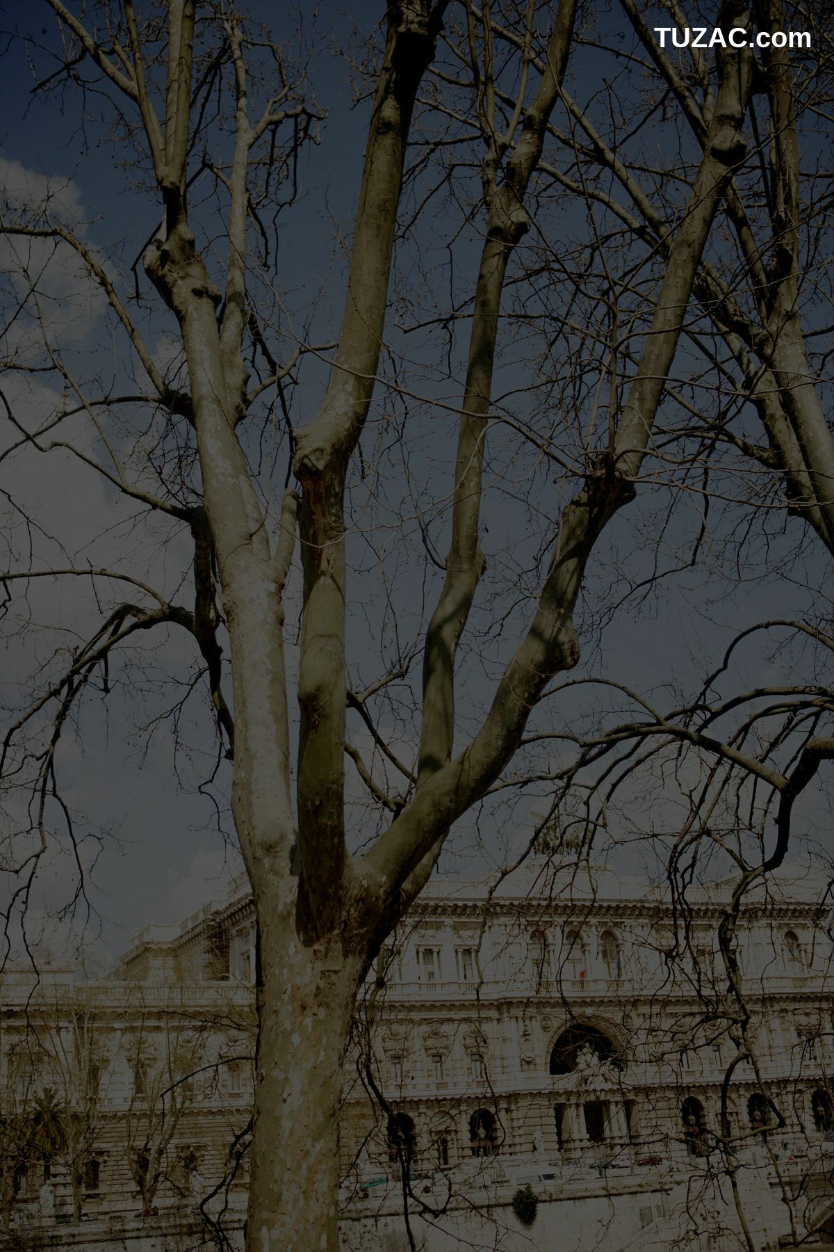 NS Eyes_ SF-No.349 Natsuki Harada 原田夏希 写真集[110P]