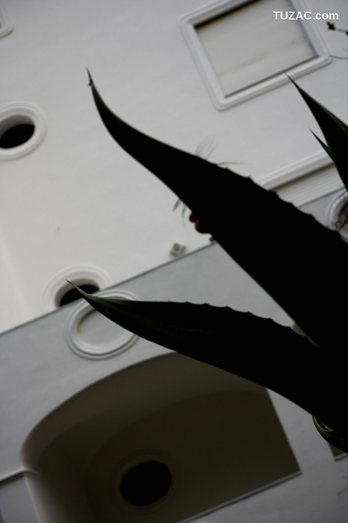 NS Eyes_ SF-No.349 Natsuki Harada 原田夏希 写真集[110P]