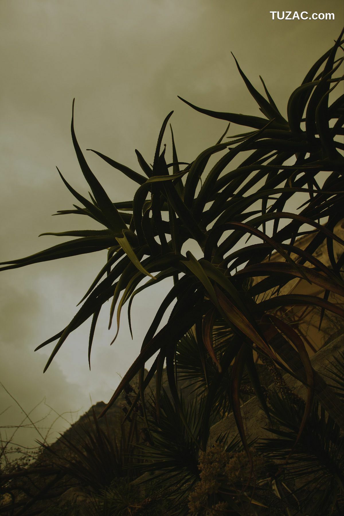 NS Eyes_ SF-No.350 原田夏希 Natsuki Harada 写真集[116P]