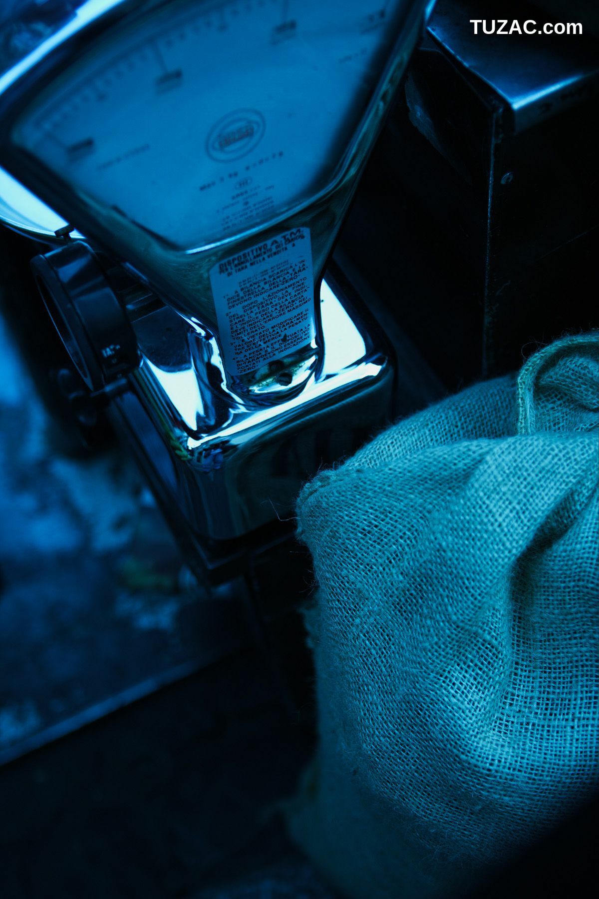 NS Eyes_ SF-No.350 原田夏希 Natsuki Harada 写真集[116P]