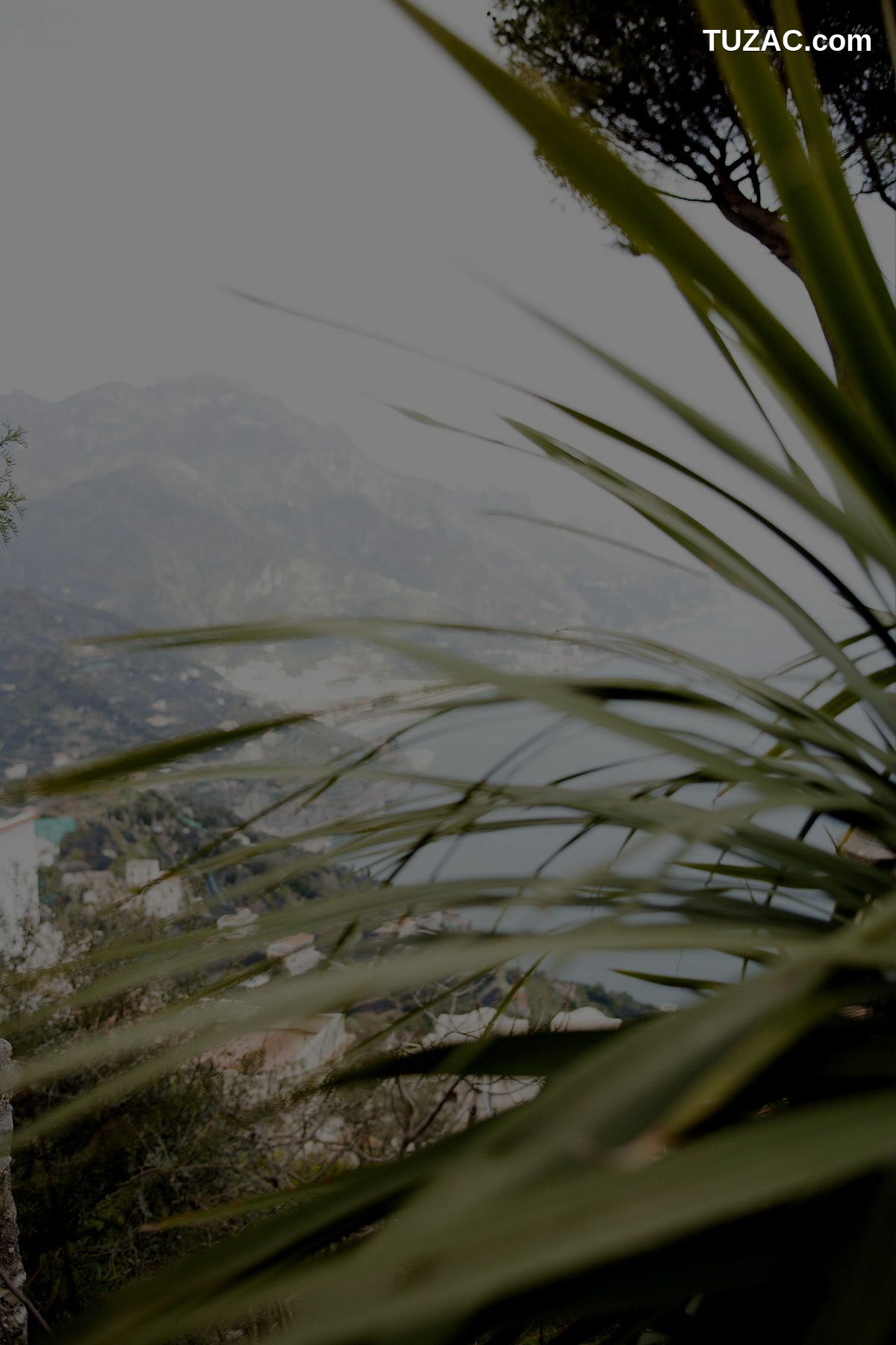 NS Eyes_ SF-No.350 原田夏希 Natsuki Harada 写真集[116P]