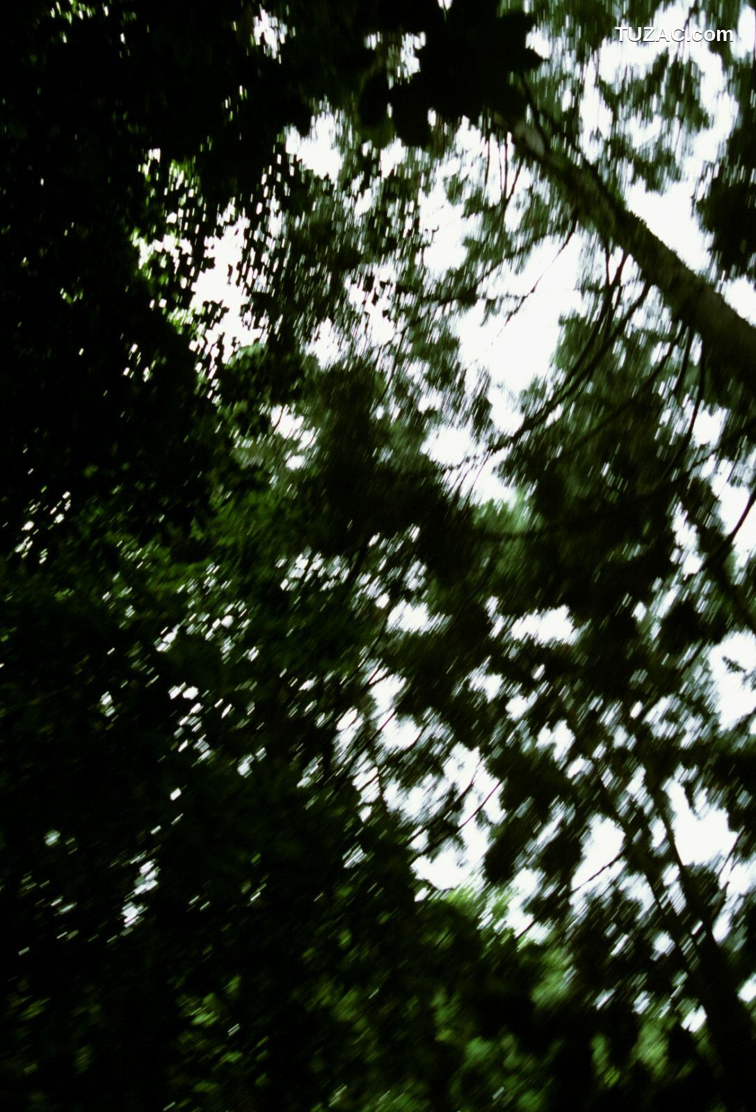 NS Eyes_ SF-No.360 Ayumi Kinoshita 木下あゆ美/木下亚由美 写真集[90P]