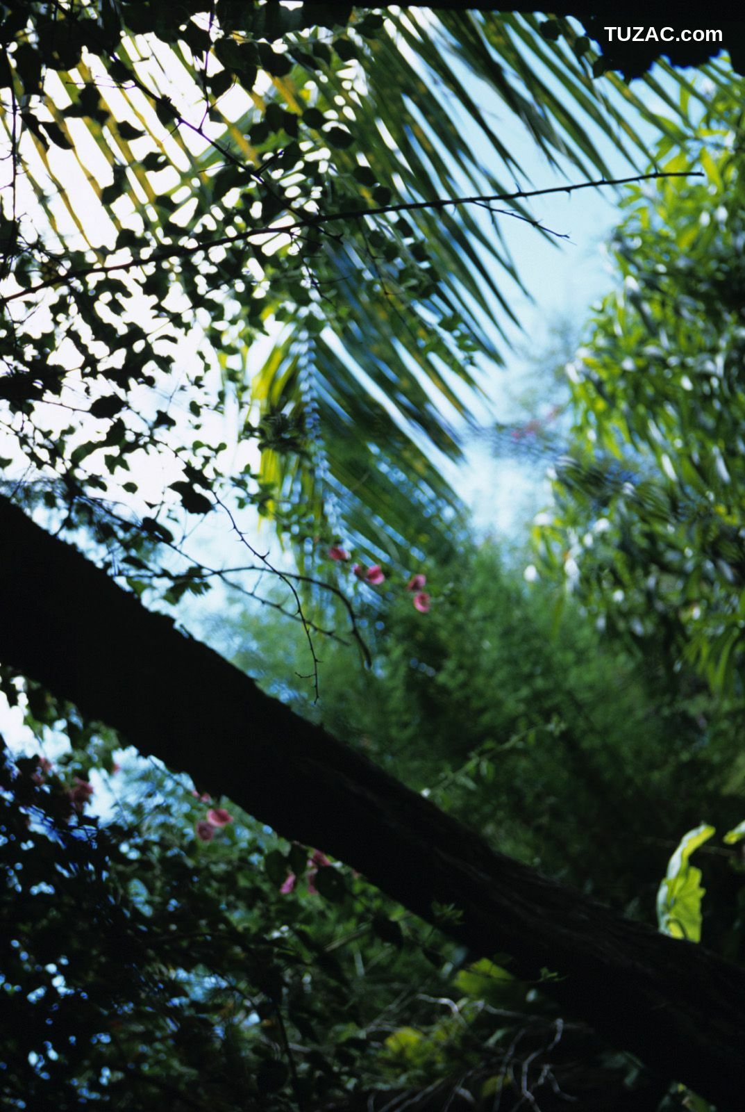 NS Eyes_ SF-No.363 Reon Kadena 久紗野水萌/嘉那蕾音 写真集[123P]