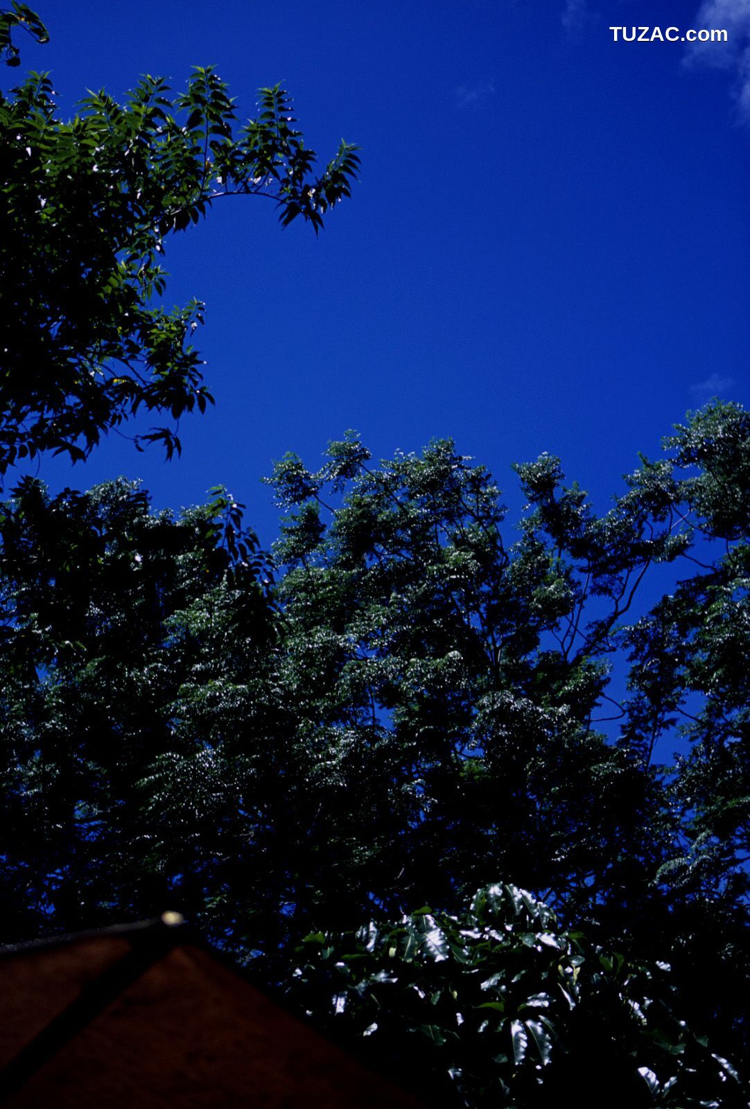 NS Eyes_ SF-No.363 Reon Kadena 久紗野水萌/嘉那蕾音 写真集[123P]
