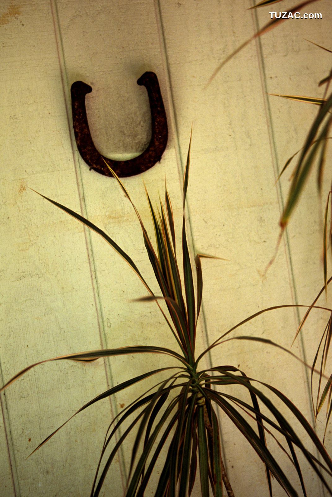 NS Eyes_ SF-No.364 Reon Kadena 久紗野水萌/かでなれおん 写真集[127P]