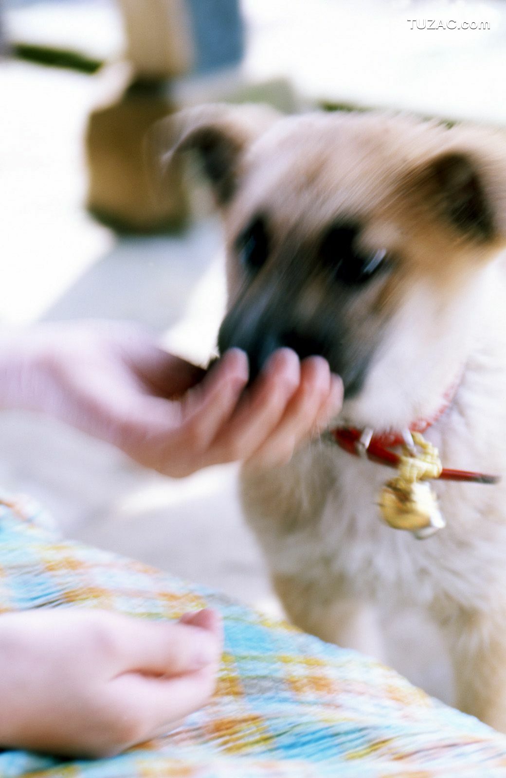 NS Eyes_ SF-No.375 前田愛&amp;amp;前田亜希 -UNDERAGE! 写真集[53P]