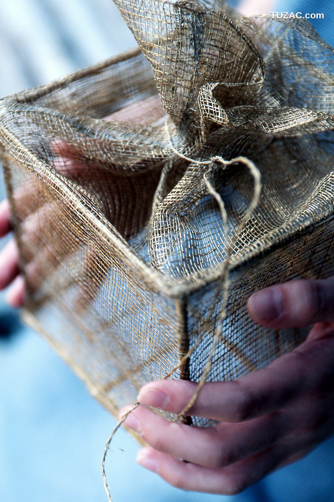 NS Eyes_ SF-No.375 前田愛&amp;amp;前田亜希 -UNDERAGE! 写真集[53P]