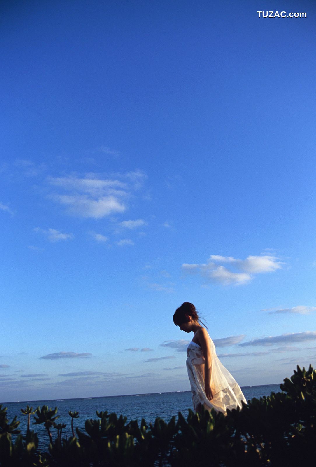 NS Eyes_ SF-No.390 Azusa Yamamoto 山本梓 写真集[105P]