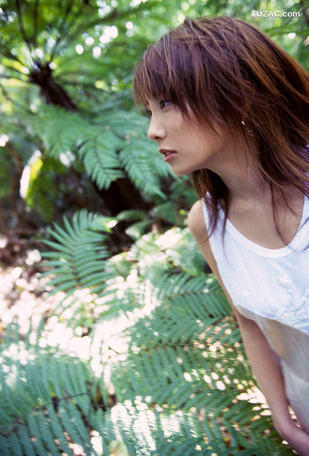 NS Eyes_ SF-No.391 山本梓 Azusa Yamamoto 写真集[117P]
