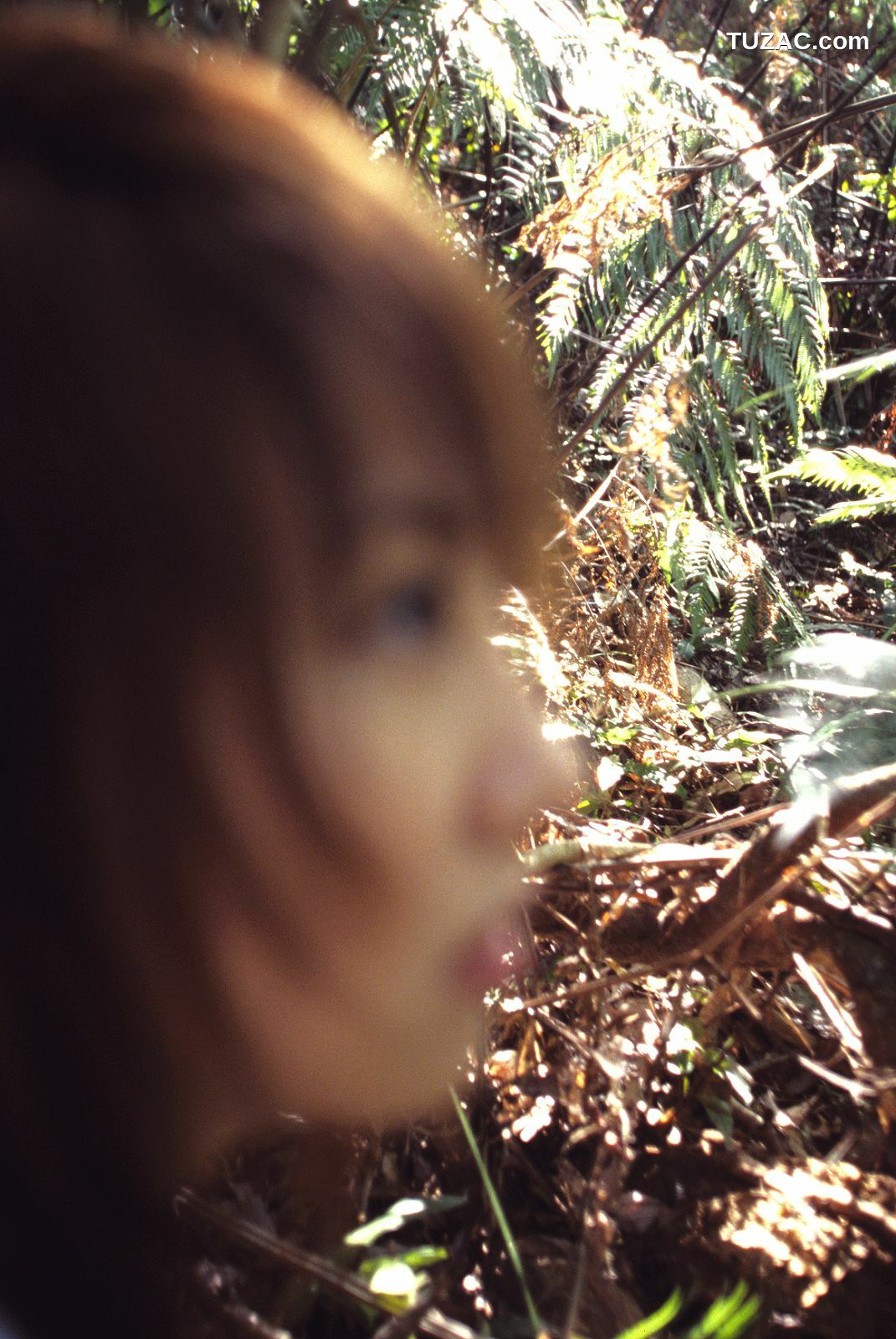 NS Eyes_ SF-No.391 山本梓 Azusa Yamamoto 写真集[117P]